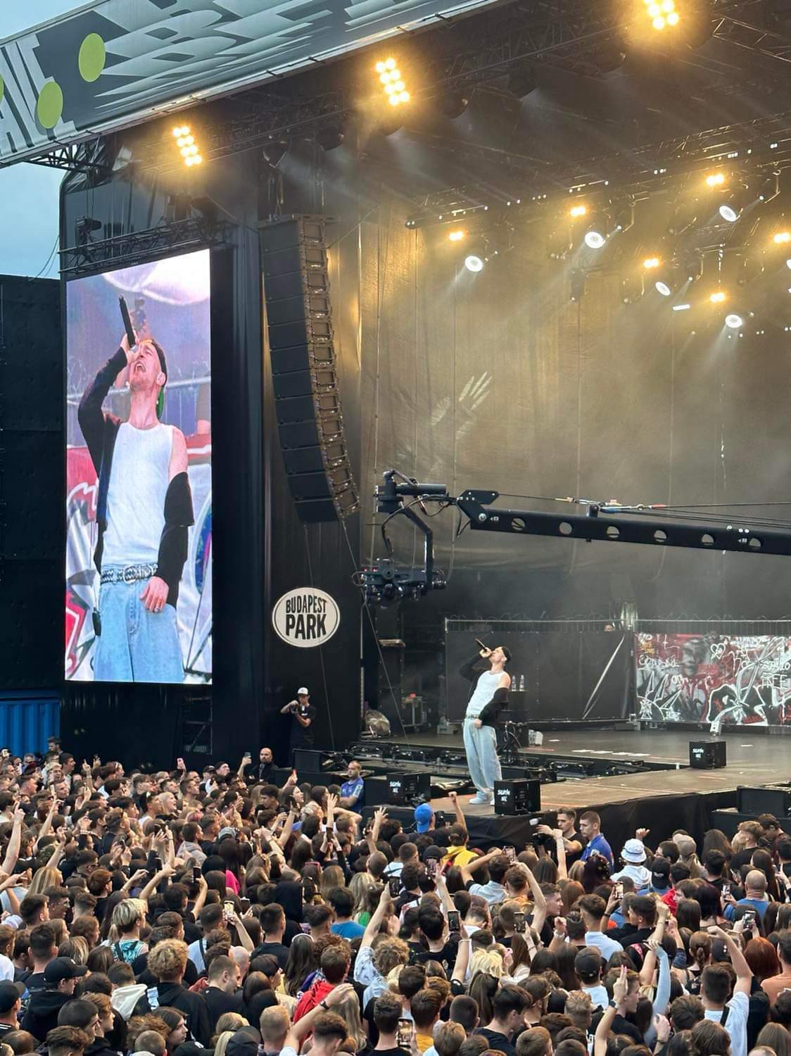 IBBI SECURITY zipped hoodie by ibbiwear©